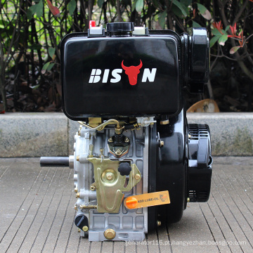 Motor diesel de cilindro único BS186FA